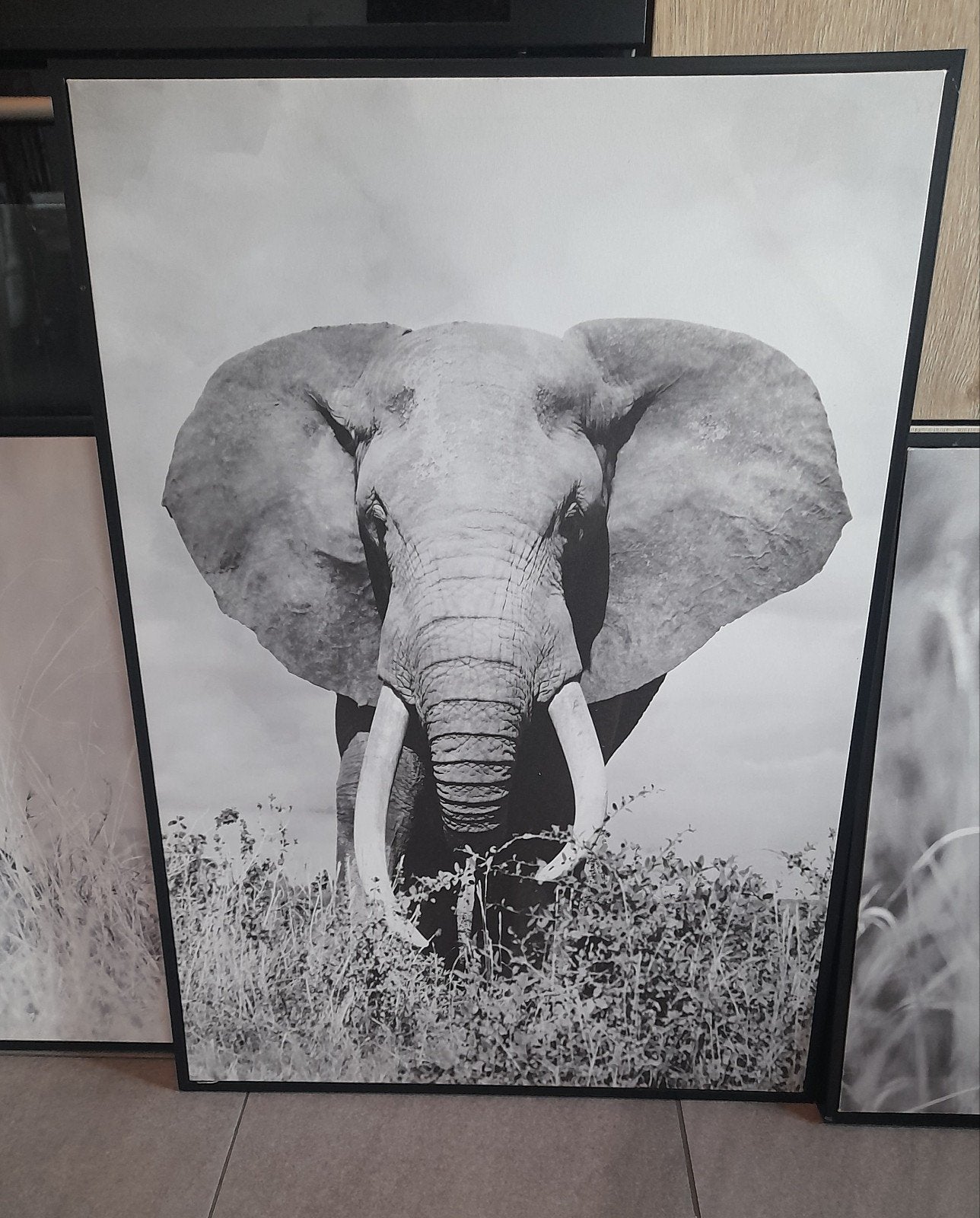 Schilderij olifant, Ophalen, Zo goed als nieuw, Foto of Poster, Minder dan 50 cm