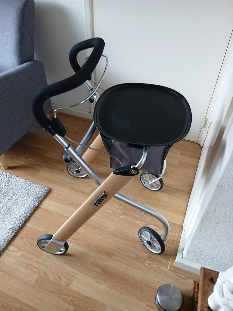 Binnen rollator, Diversen, Ophalen of Verzenden
