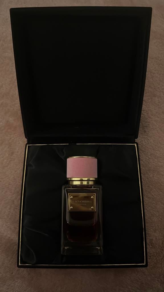 Dolce & Gabbana Velvet Love Eau de Parfum 50ml, Ophalen of Verzenden, Nieuw