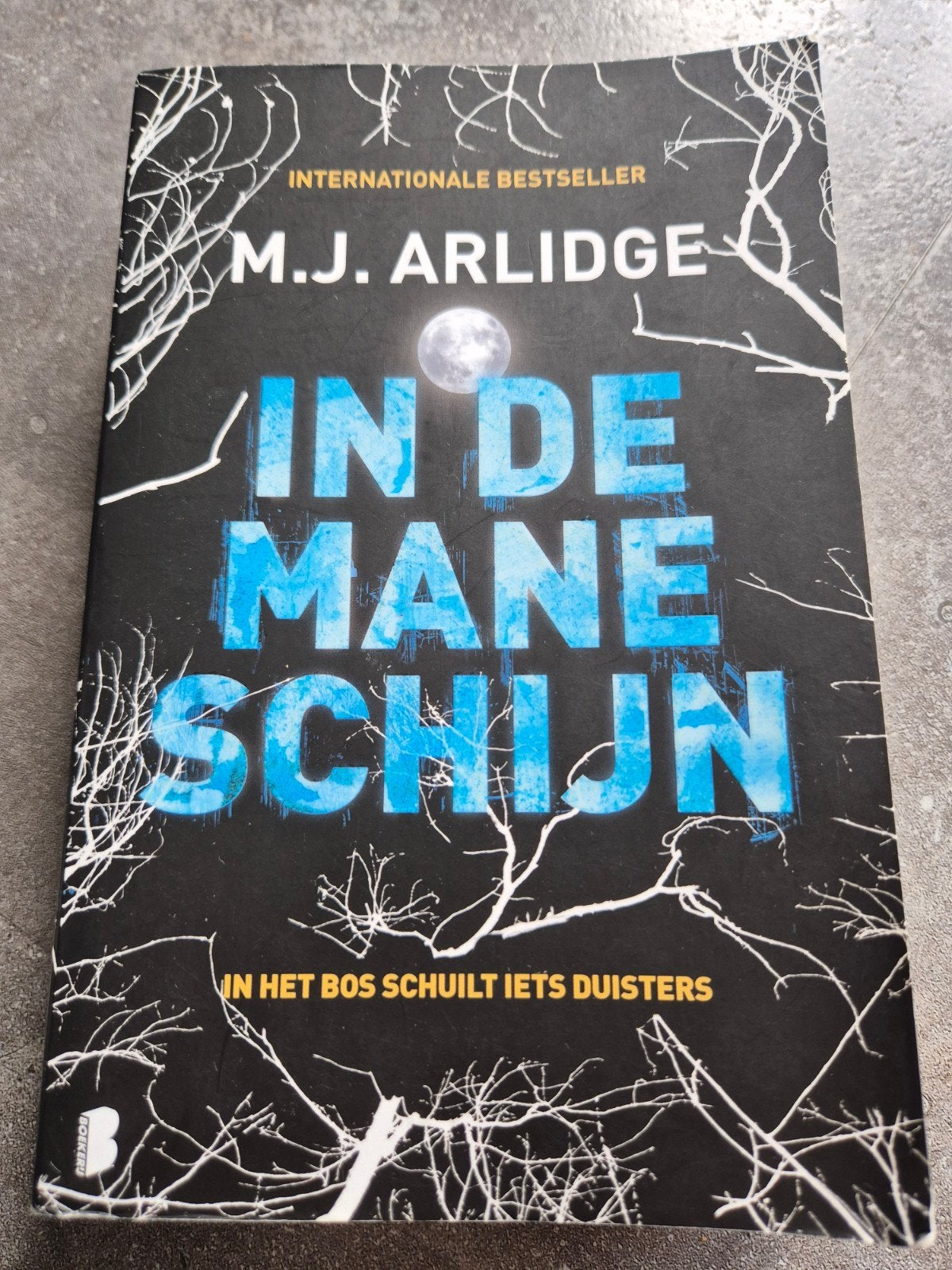 M.J. Arlidge - In de maneschijn, Ophalen of Verzenden, Zo goed als nieuw, M.J. Arlidge