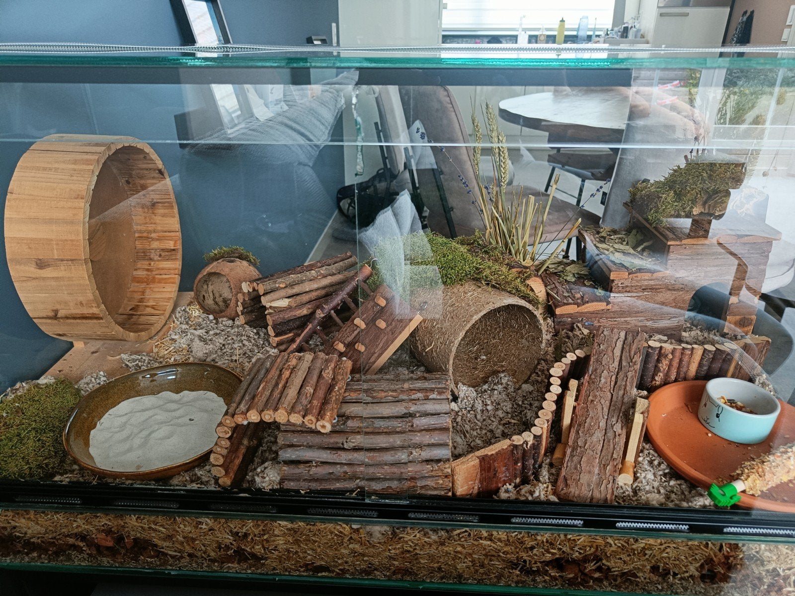 Hamster hok/verblijf/terrarium en toebehoren, Dieren en Toebehoren, Zo goed als nieuw, 75 tot 110 cm, Ophalen, Minder dan 60 cm