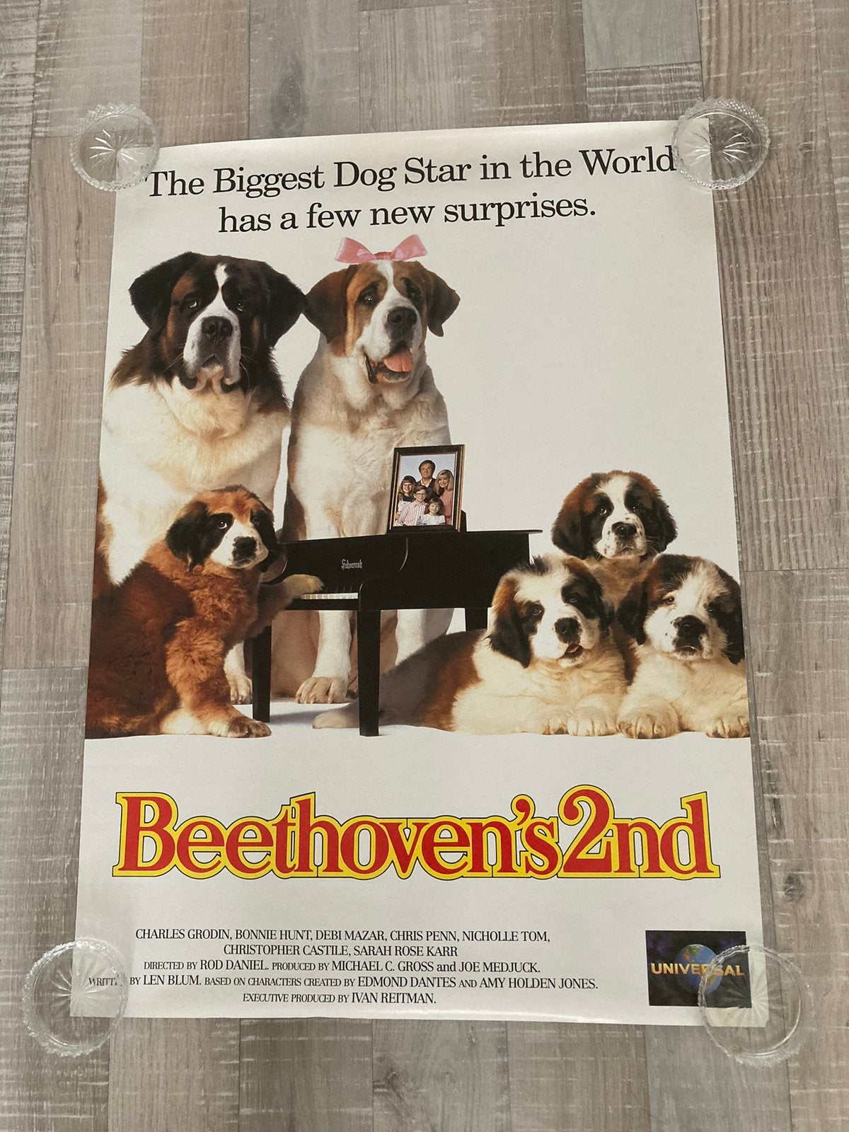 Poster Beethoven’s2nd, Ophalen of Verzenden, Zo goed als nieuw, A1 t/m A3, Dier of Natuur
