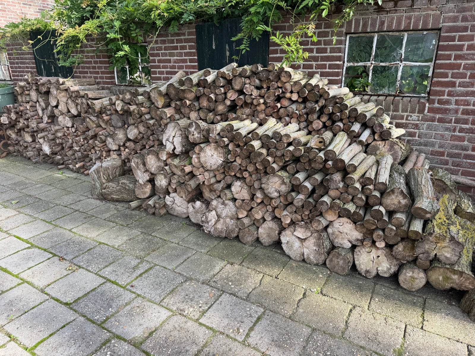 Partij brandhout: wilgenhout, 6 m³ of meer, Ophalen, Overige houtsoorten, Stammen