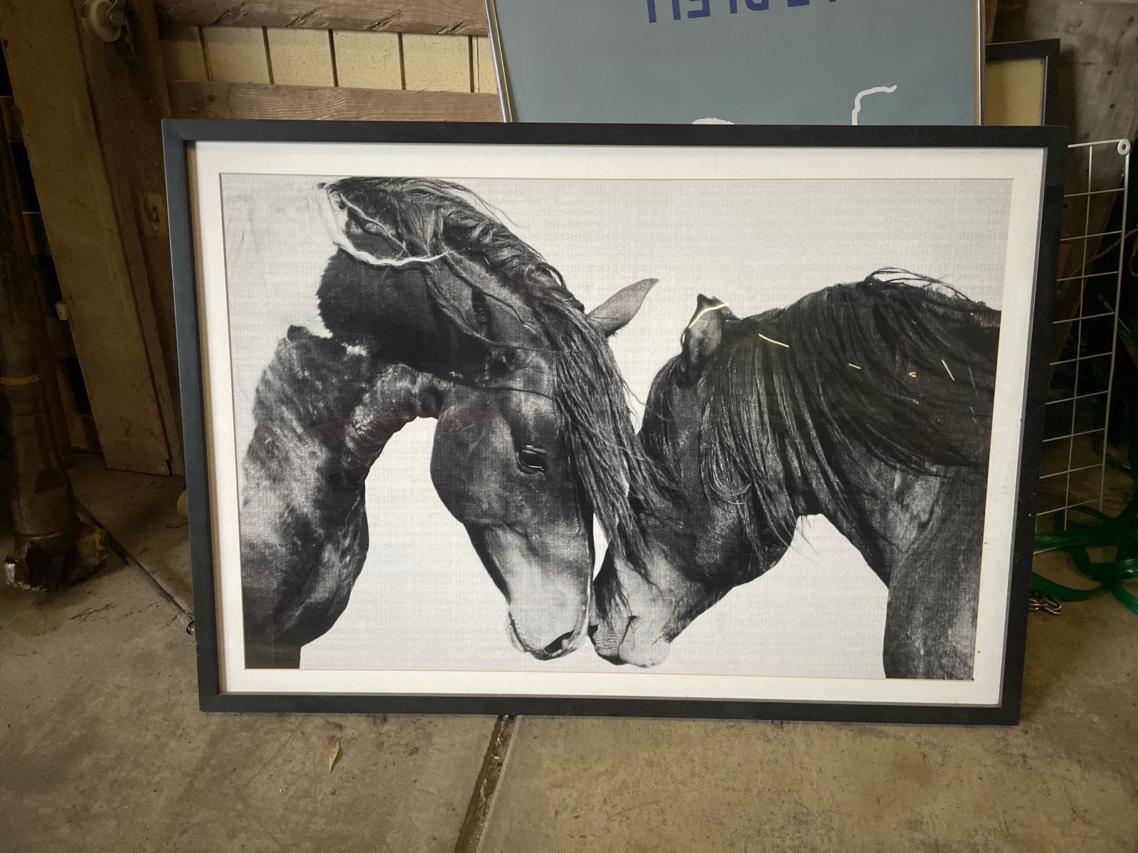 Prachtig paarden schilderij met lijst - 100x70 cm, Ophalen, Doek, Realistisch, Dieren
