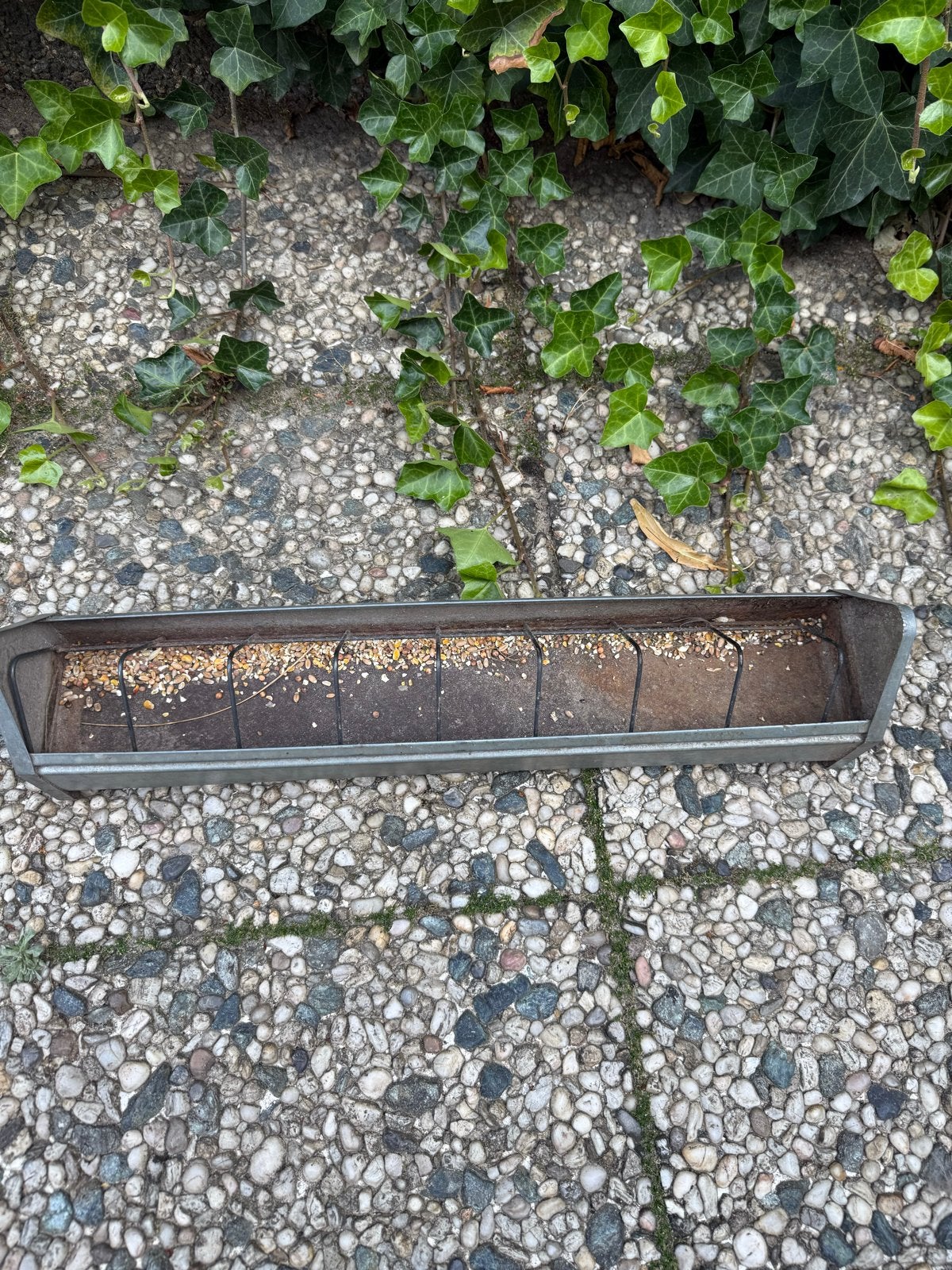 Kippen / eendenvoerbak, Ophalen, Drinken en Voederen