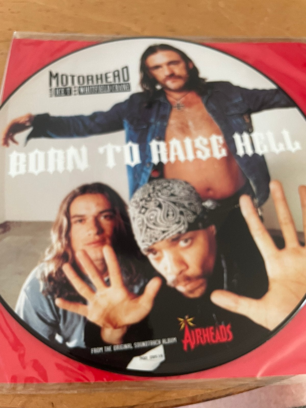 Motorhead - born to raise pdisc, Ophalen of Verzenden, Zo goed als nieuw