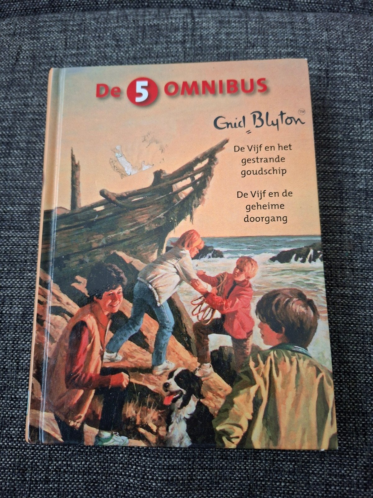 De 5 Omnibus: Het gestrande goudschip & De geheime doorgang, Ophalen of Verzenden, Gelezen, Enid Blyton, Fictie
