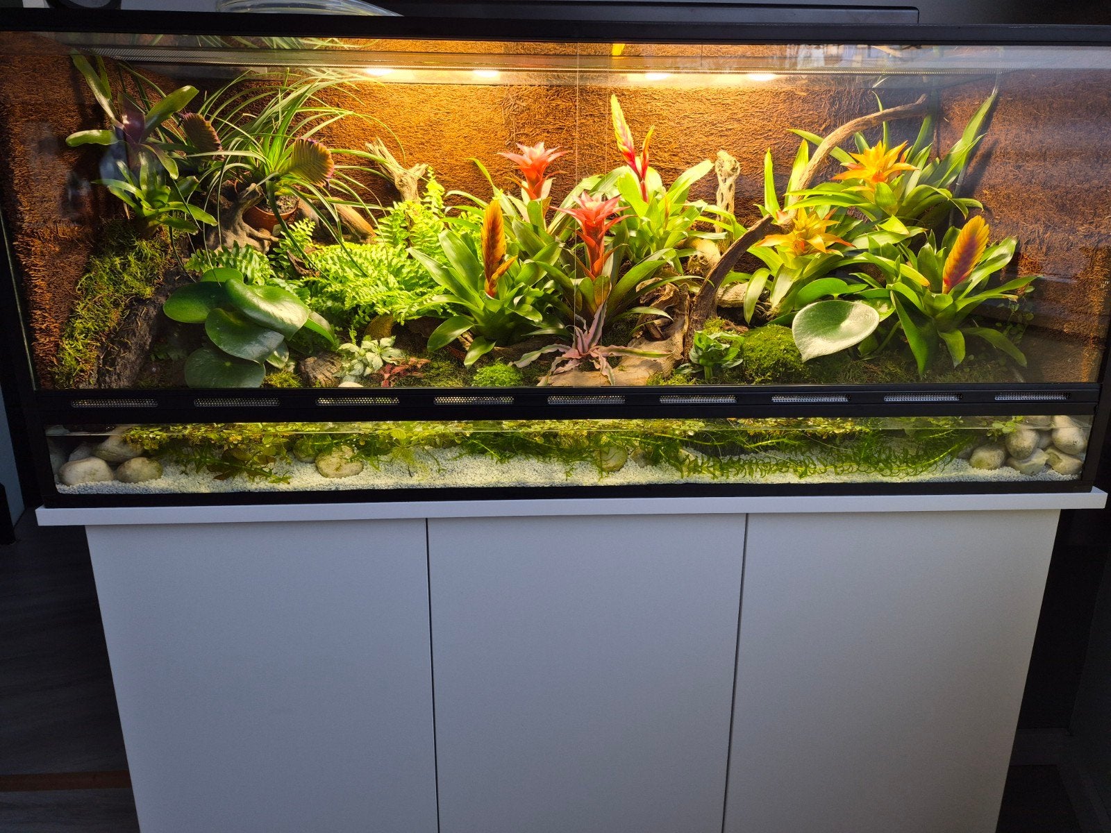 paludarium vivarium, Ophalen, Zo goed als nieuw, Terrarium of Paludarium