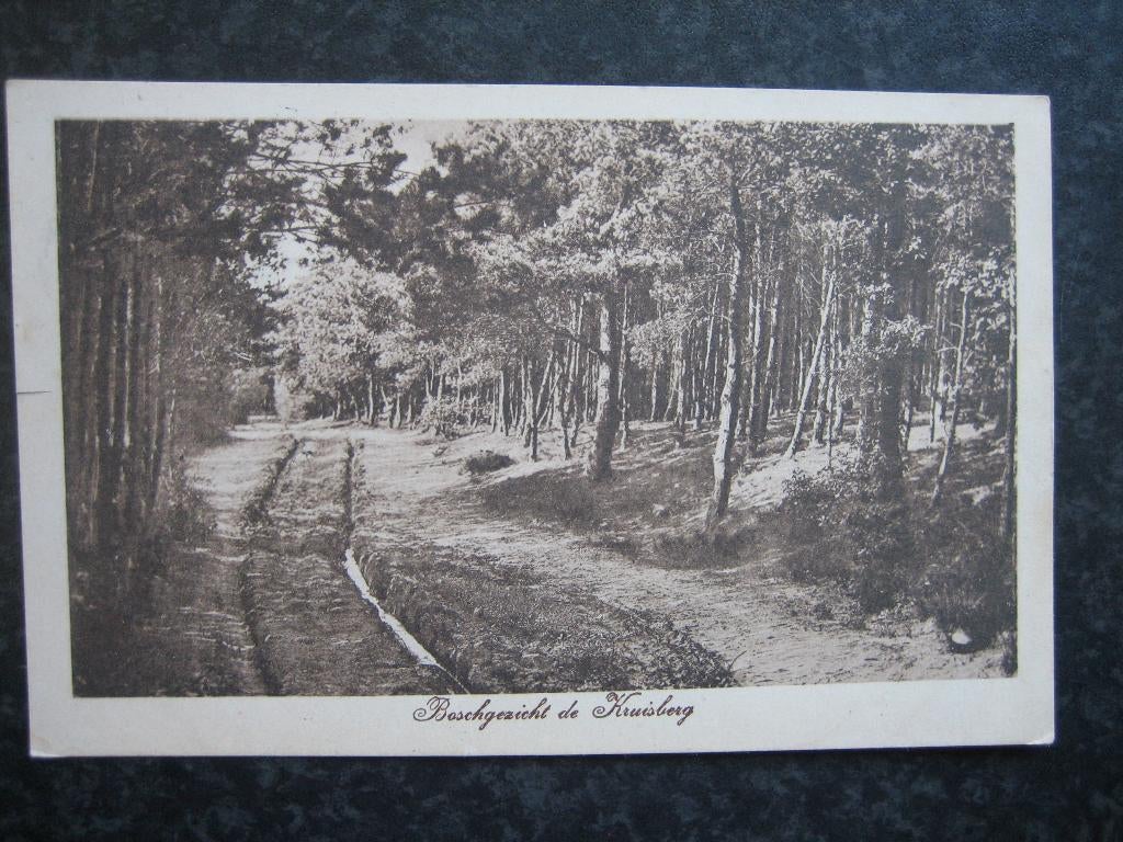 DOETINCHEM Boschgezicht De Kruisberg met diep karrespoor, Ophalen of Verzenden, 1920 tot 1940, Gelderland