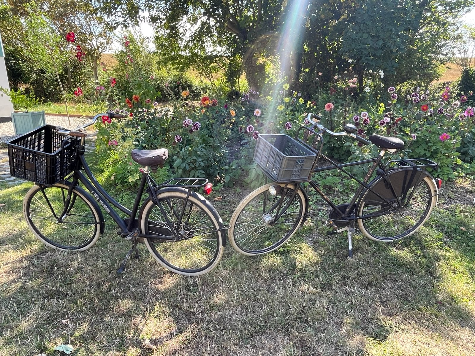 2 fietsen, Fietsen en Brommers, Fietsen | Bakfietsen, Gebruikt, Overige merken, Goederen, Ophalen