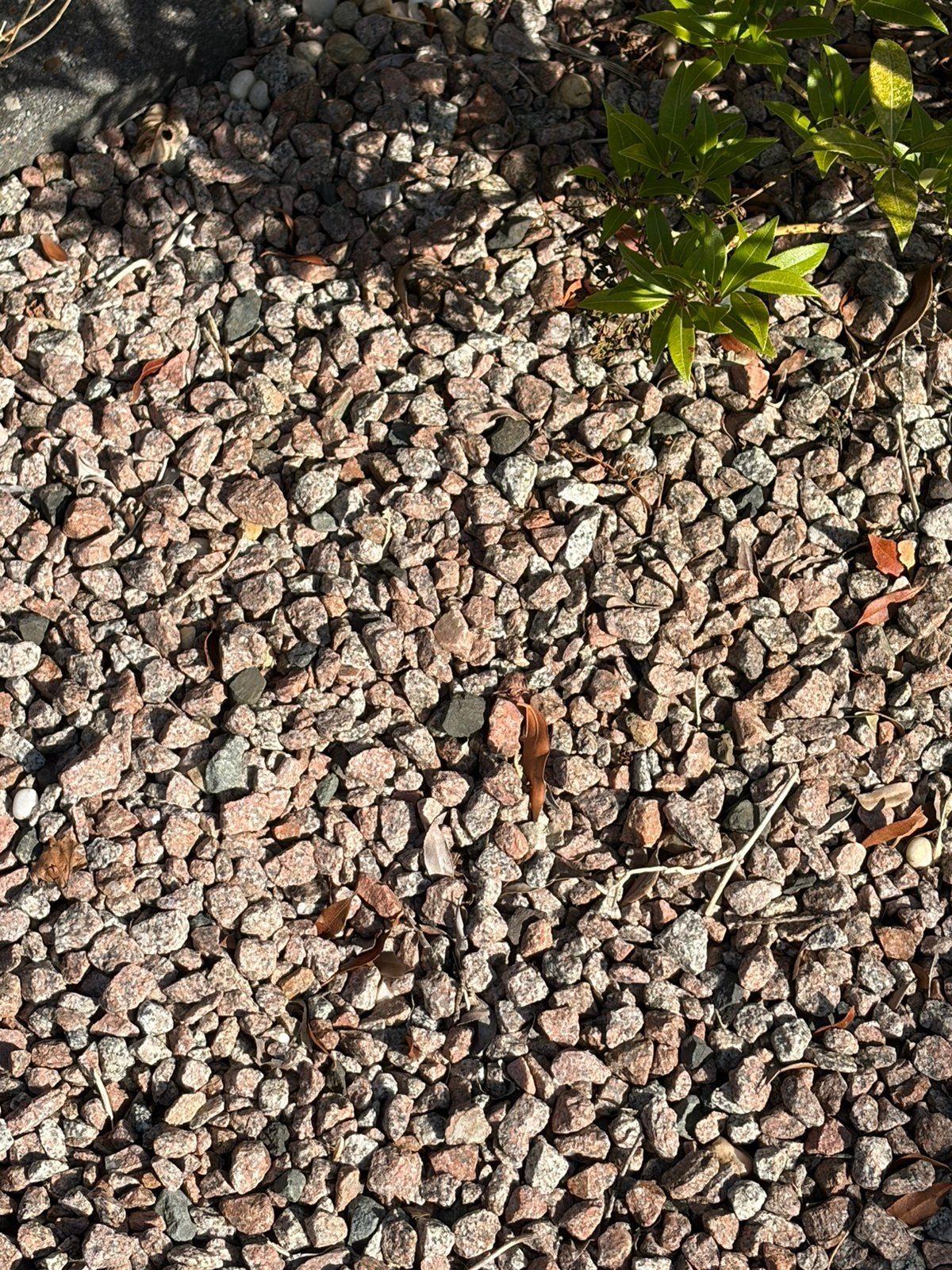 Split gratis, Tuin en Terras, Ophalen, Zo goed als nieuw, Basalt, Split