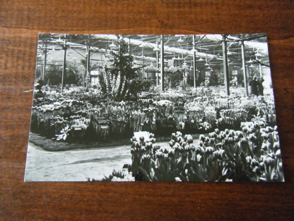 J7 - Bovenkarspel - West Friese Flora - Mooi/Oud 2, Ophalen of Verzenden, 1960 tot 1980, Noord-Holland