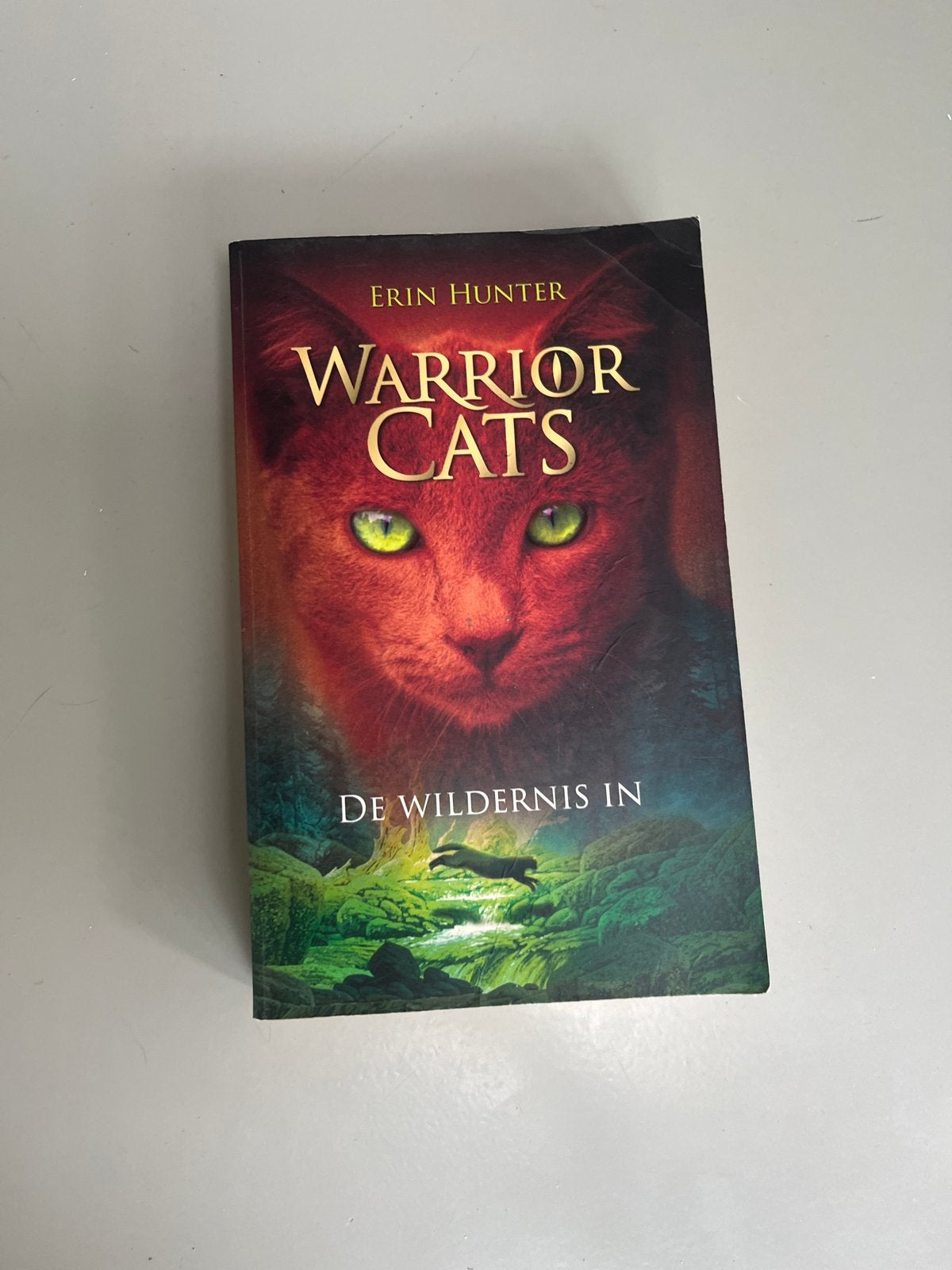 Warrior Cats: De Wildernis In - Erin Hunter, Boeken, Ophalen, Gelezen