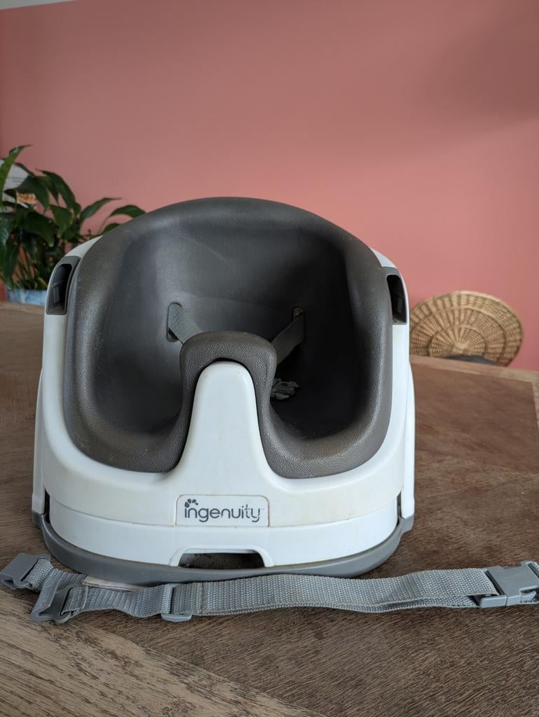Ingenuity kinderstoel / campingstoel voor kind, Ophalen of Verzenden, Gebruikt, Overige typen, Gordel(s)