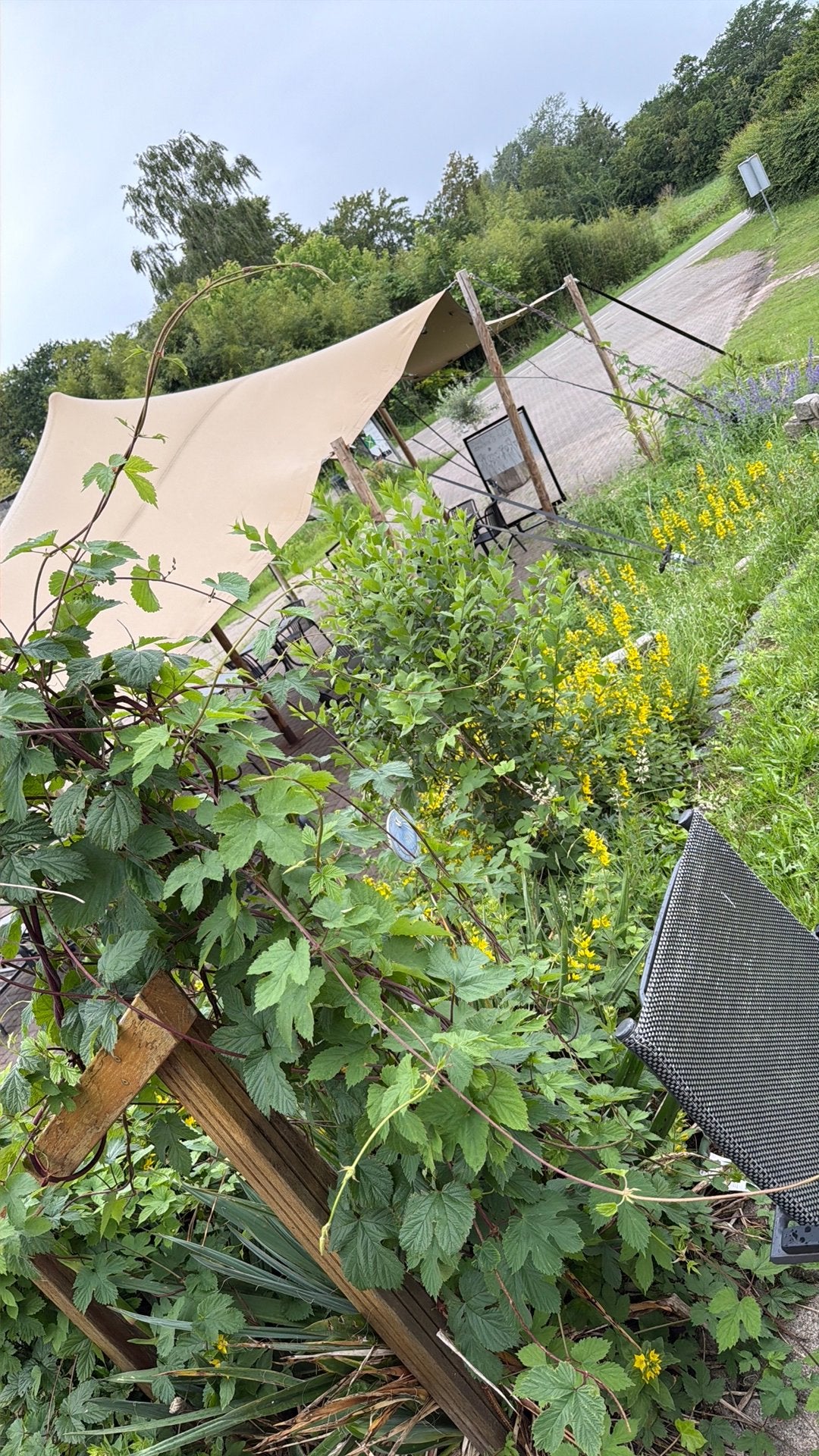 Hulp gezocht: tuinman met tijd en aanhanger, Diensten en Vakmensen, Klussers en Klusbedrijven
