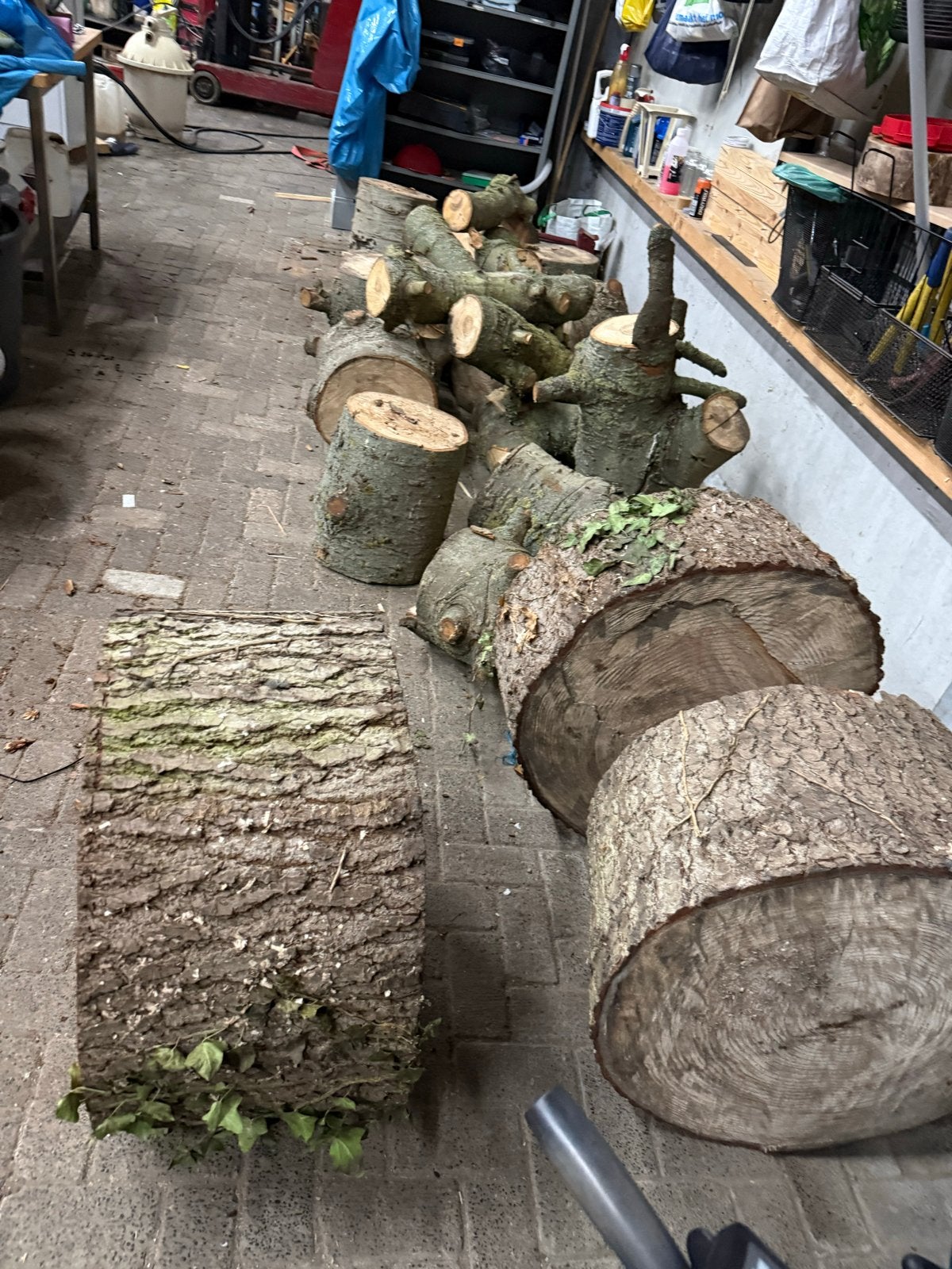 Boomstammen en houtblokken vers gezaagt tekoop, Tuin en Terras, Haardhout, 3 tot 6 m³, Ophalen of Verzenden, Overige houtsoorten