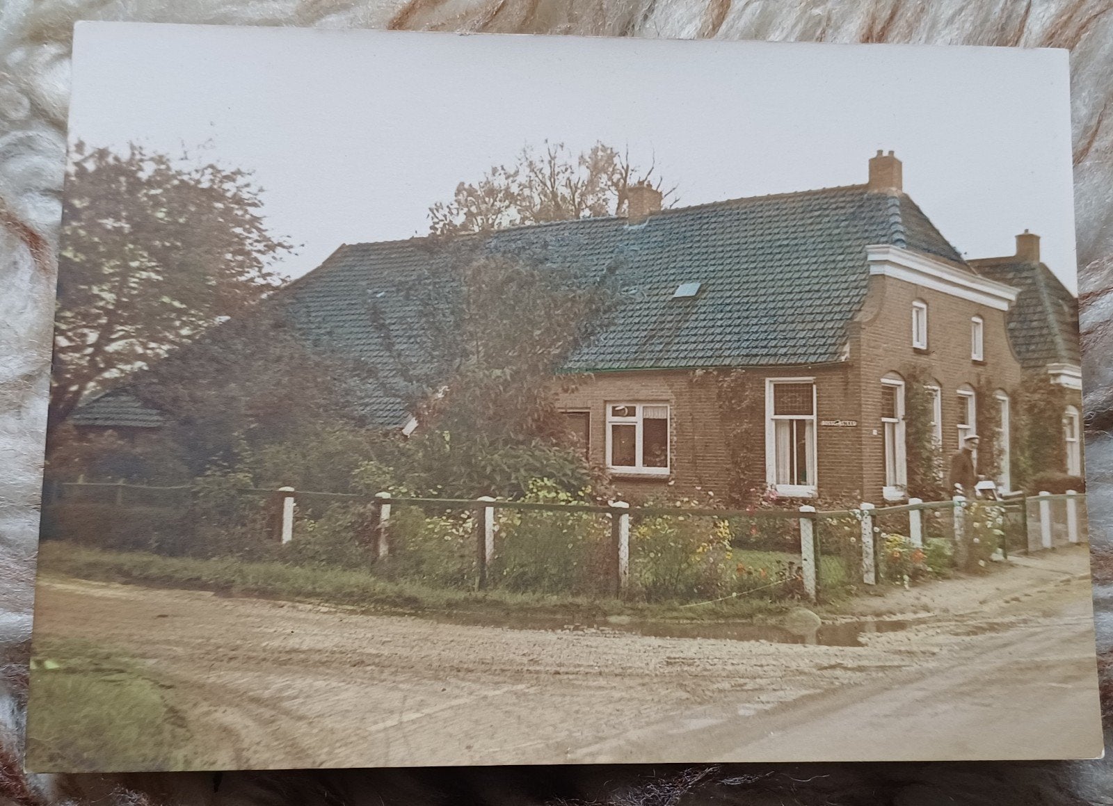 Nijensleek foto ingekleurdca 1950, Ophalen of Verzenden, 1940 tot 1960