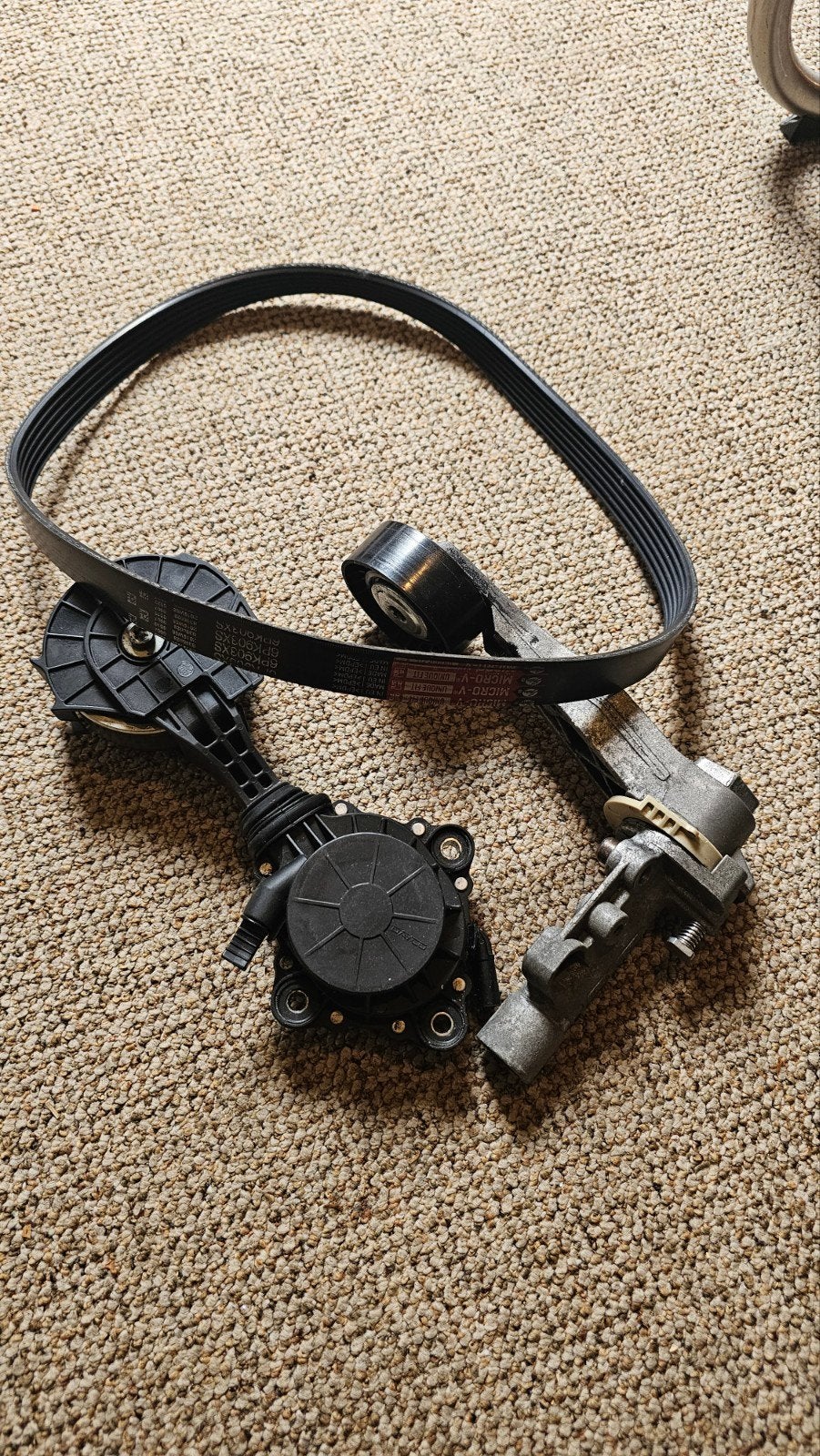 Peugeot Poly V riem set, Auto-onderdelen, Ophalen of Verzenden, Nieuw