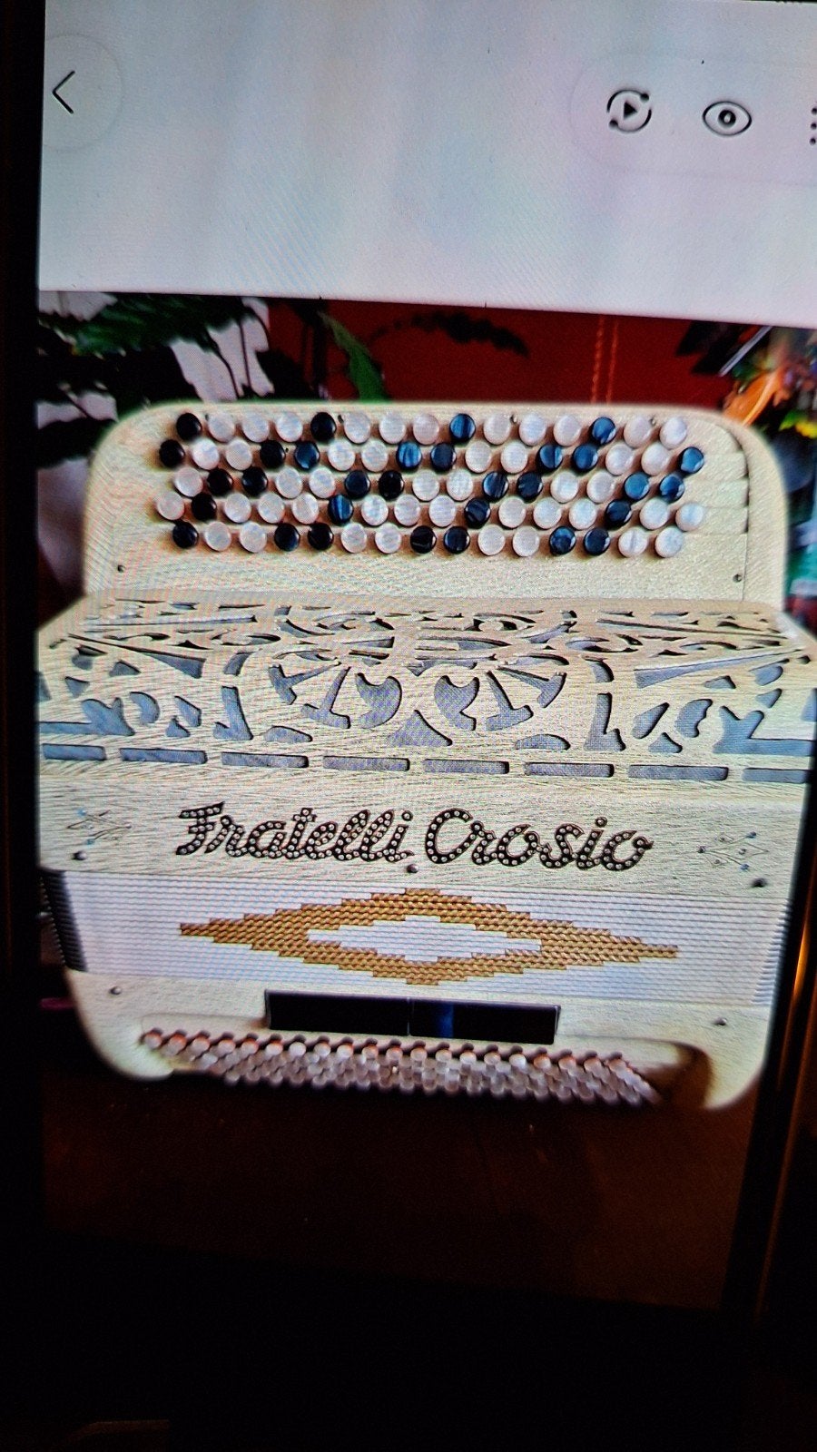 Fratelli Crosio Knopaccordeon, Muziek en Instrumenten, Gebruikt, Met riemen, Overige formaten, Knopaccordeon