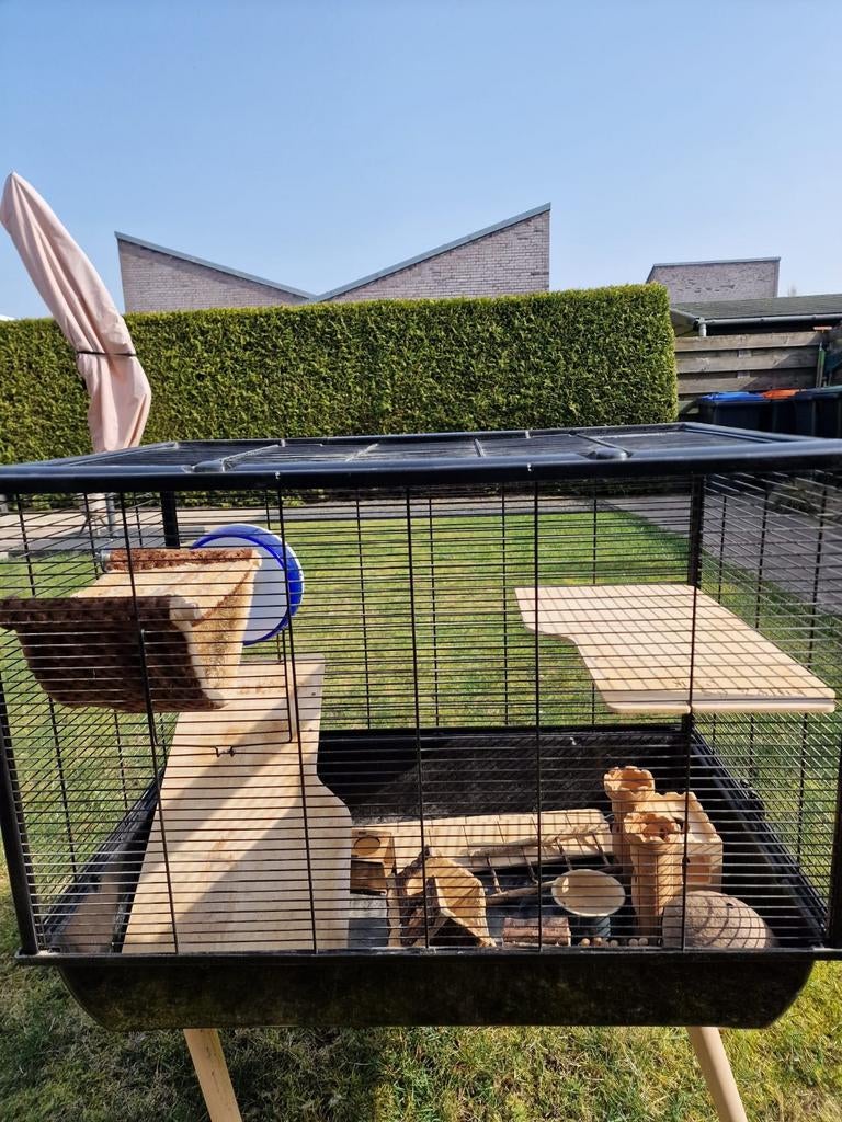 Hamster hok 20 euro alles er op en er aan, Minder dan 60 cm, Minder dan 75 cm, Ophalen of Verzenden, Hok