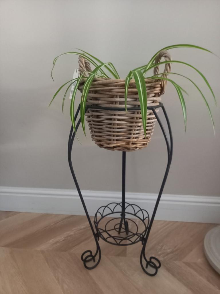 Brocante plantenstandaard met plant in pot, Ophalen