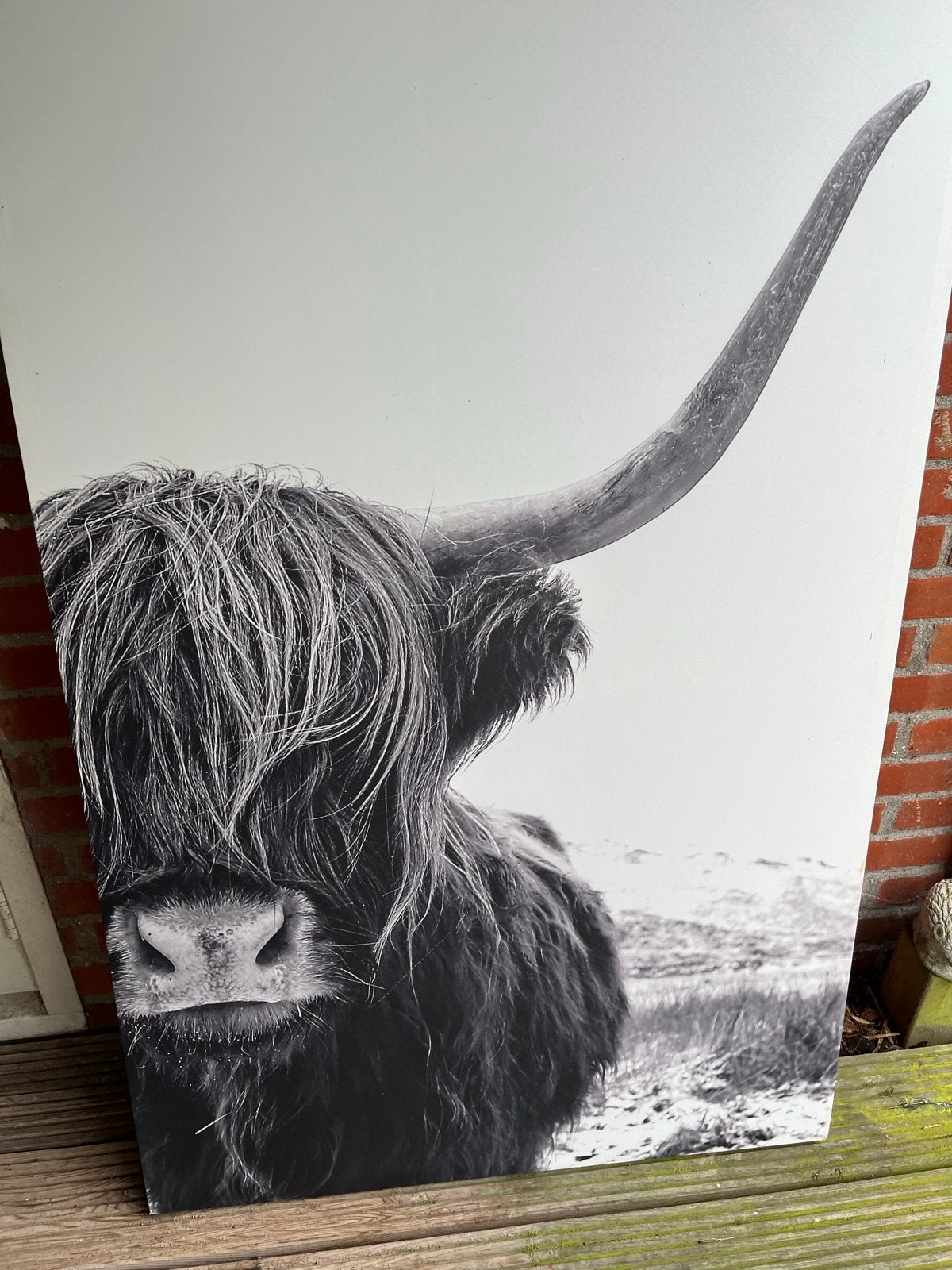 Grote wanddecoratie Schotse Hooglander zwart-wit, Ophalen, 75 – 100, 50 tot 75 cm, Print