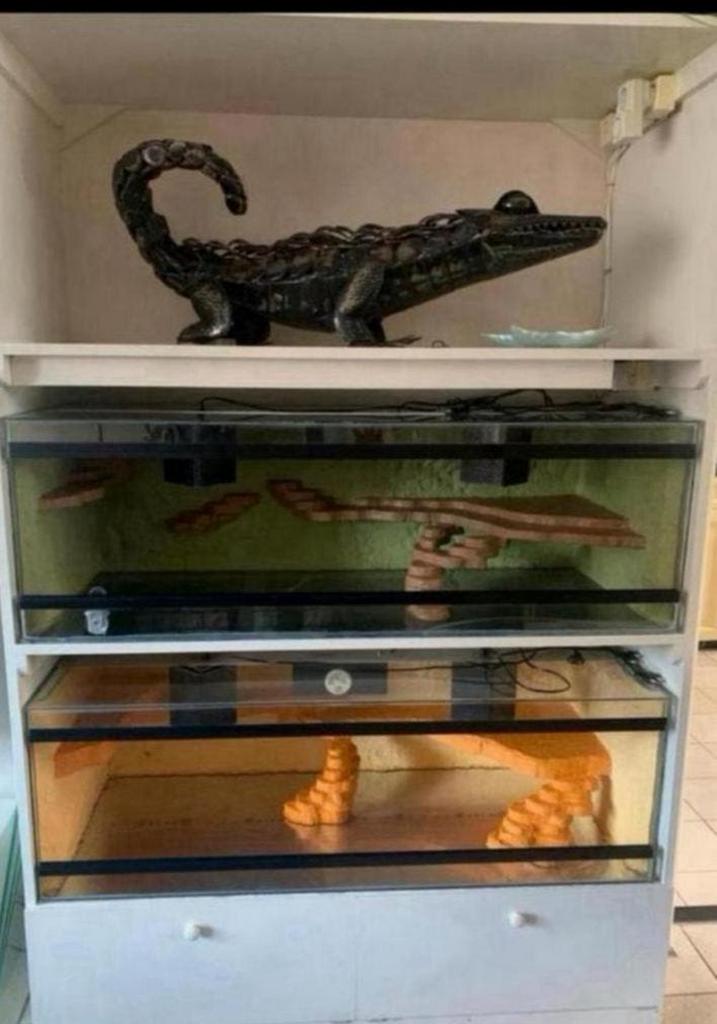 Groot  terrariummeubel met 2 grote terrariums, Ophalen, Zo goed als nieuw