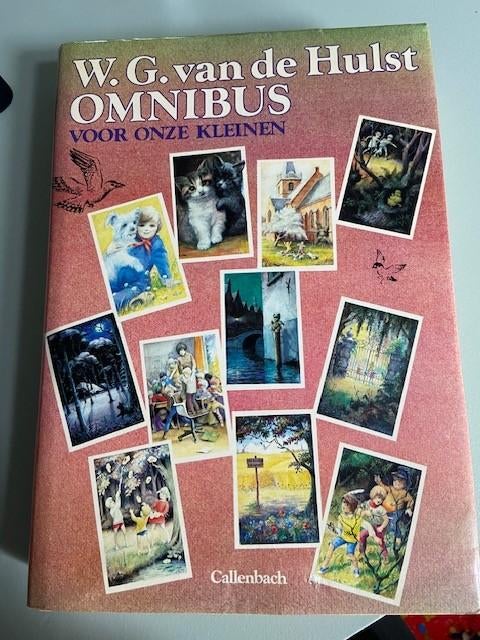 Boek omnibus voor onze kleinen, W.G. van de Hulst, Ophalen of Verzenden, Gelezen, W.G. van de Hulst, Fictie algemeen