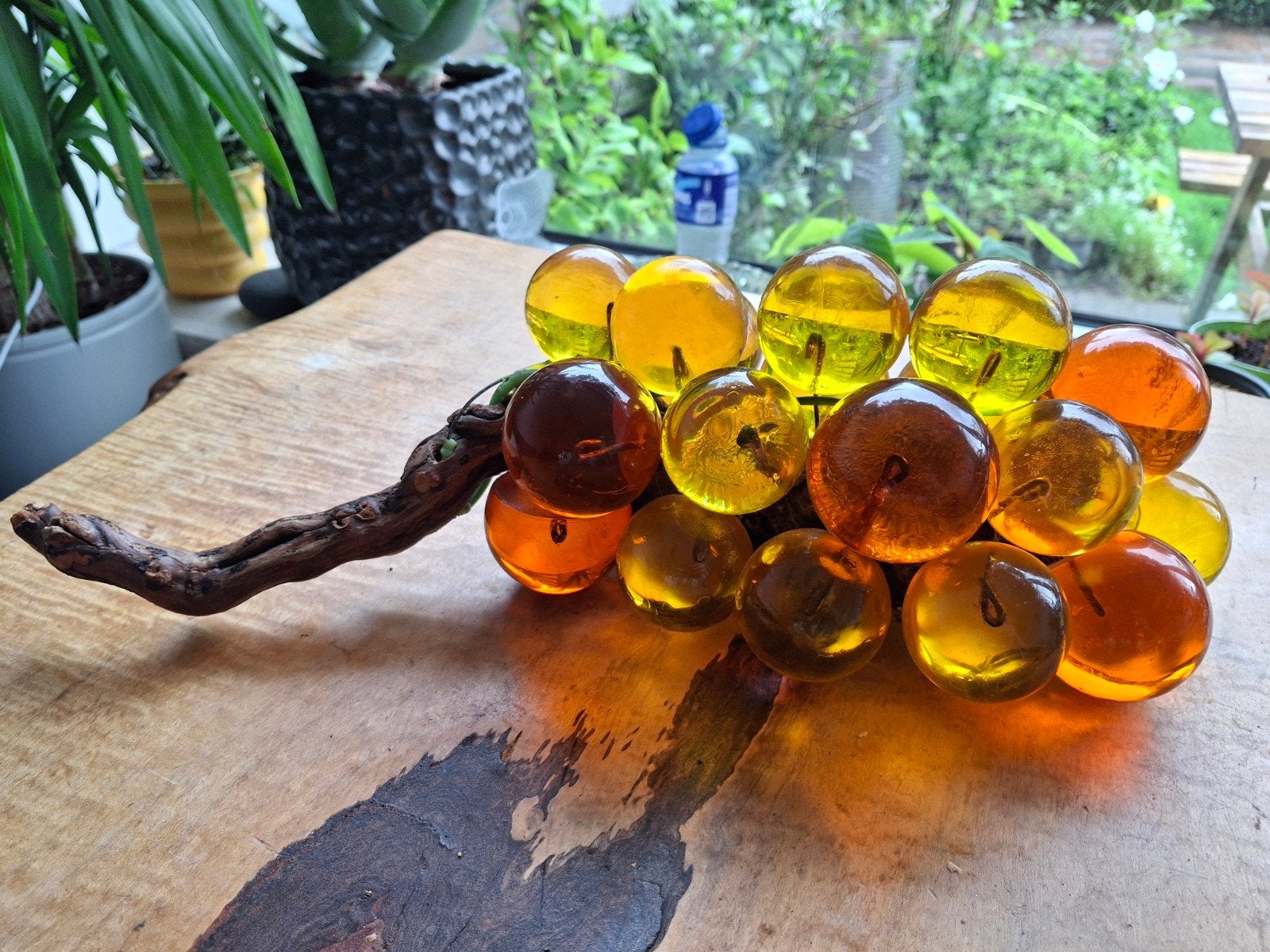 Decoratieve druiventros van glas op echte druiventak, Ophalen of Verzenden