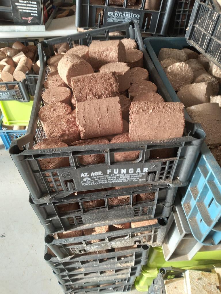 Briketten, Tuin en Terras, Haardhout, Ophalen of Verzenden