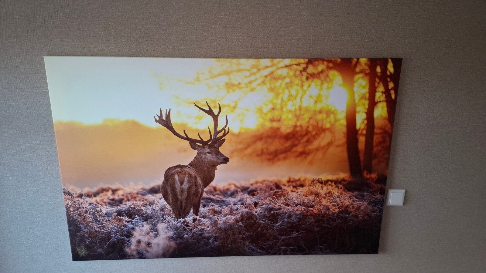 Canvas foto Hert in Zonsondergang - 140x90 cm, Ophalen, 125 cm of meer, Zo goed als nieuw, Schilderij
