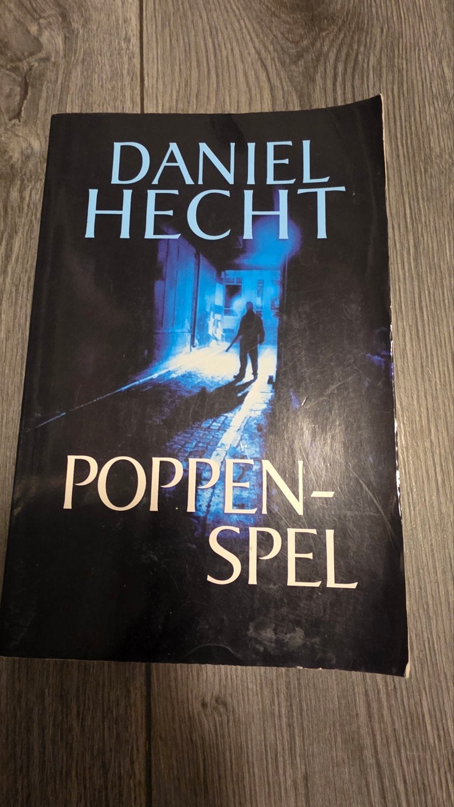 Daniel Hecht - Poppenspel, Ophalen of Verzenden, Zo goed als nieuw, Daniel Hecht