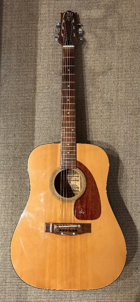 Takeharu Folk Guitar, Ophalen, Zo goed als nieuw, Western- of Steelstringgitaar
