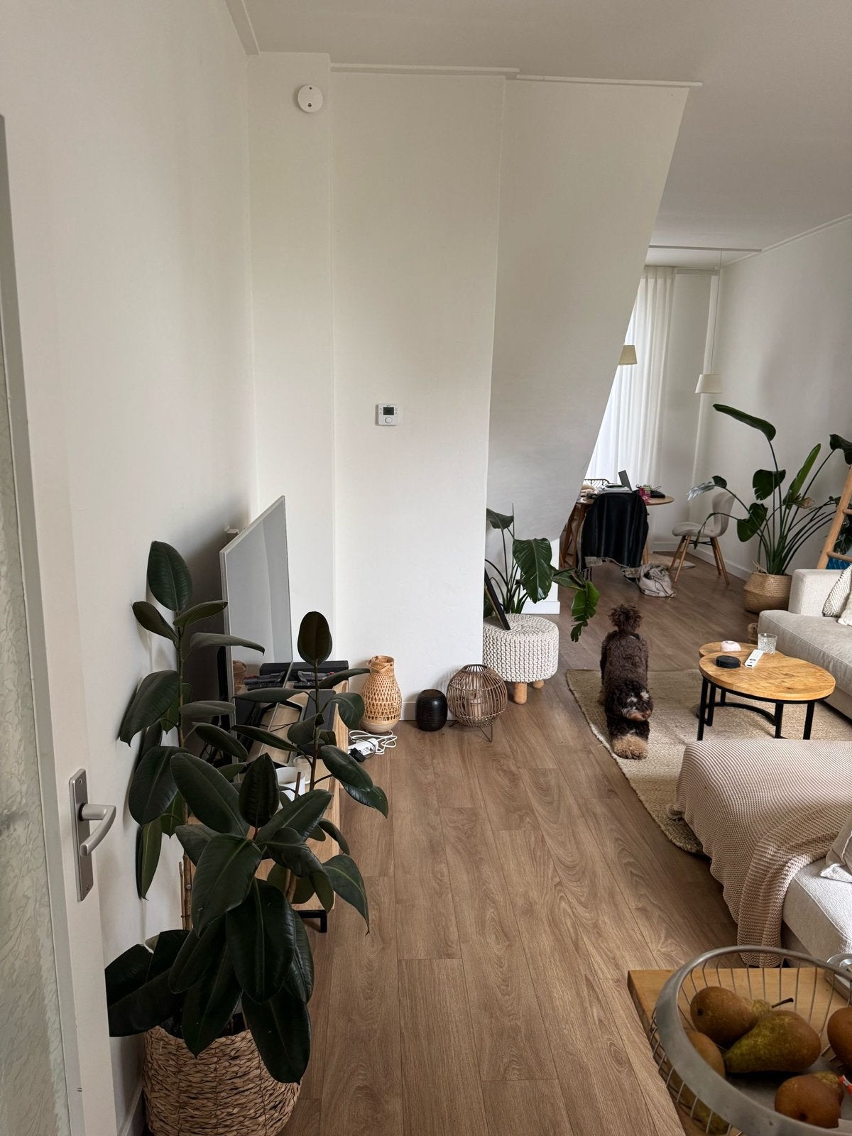 Pvc vloerdelen - Houtlook - klik pvc, Doe-het-zelf en Verbouw, Ophalen, Kunststof, 50 tot 150 cm, Vloerdelen of -planken