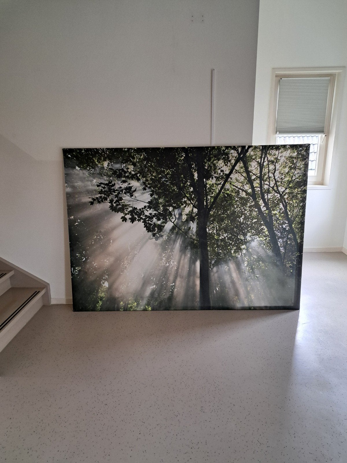 Canvas schilderij - Bos met zonnestralen voor 10okt ophalen, Ophalen, Gebruikt, 125 cm of meer, Schilderij