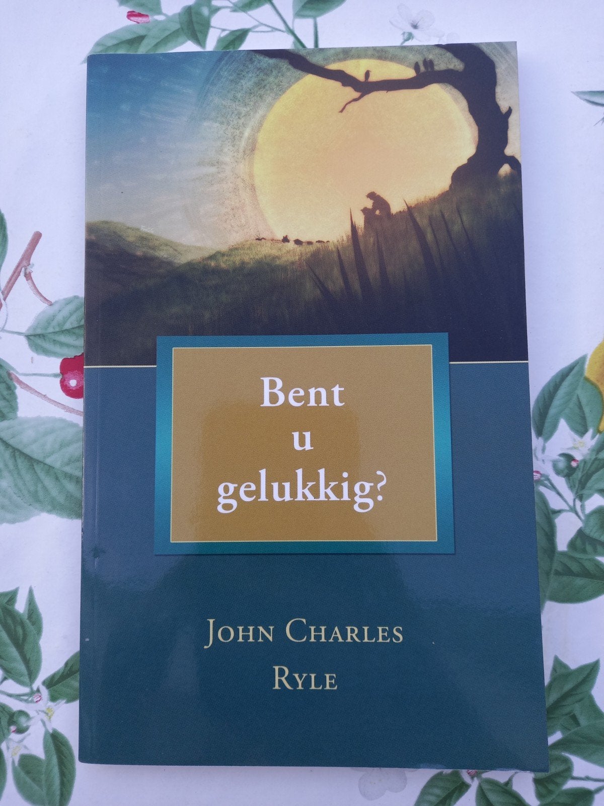 M13 J.C. Ryle - Bent u gelukkig?, Boeken, Ophalen of Verzenden, Zo goed als nieuw, J.C. Ryle