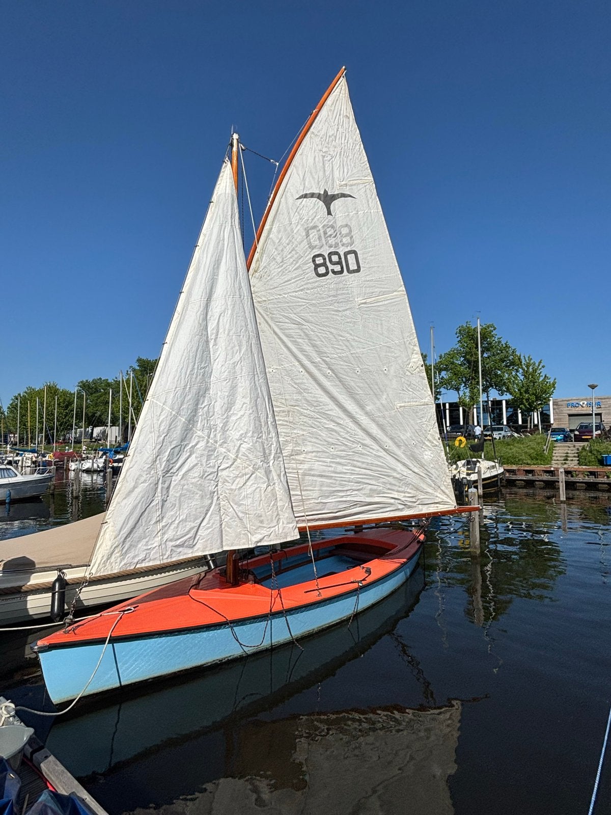Hoora Valk met houten gaffeltuig - Zeilklaar, Ophalen, Gebruikt, Polyester, Valk