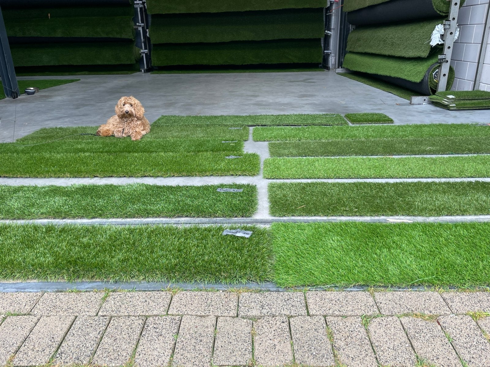 Kunstgras STUNTPRIJZEN # alles op voorraad, Ophalen, Nieuw, 20 m² of meer, Kunstgras