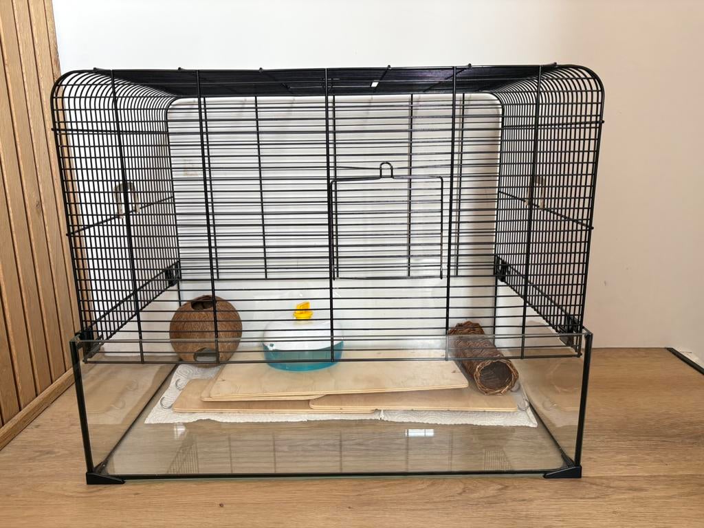 Hamster kooi zwart met glas, Dieren en Toebehoren, Kooi, Gebruikt, Minder dan 75 cm, Hamster