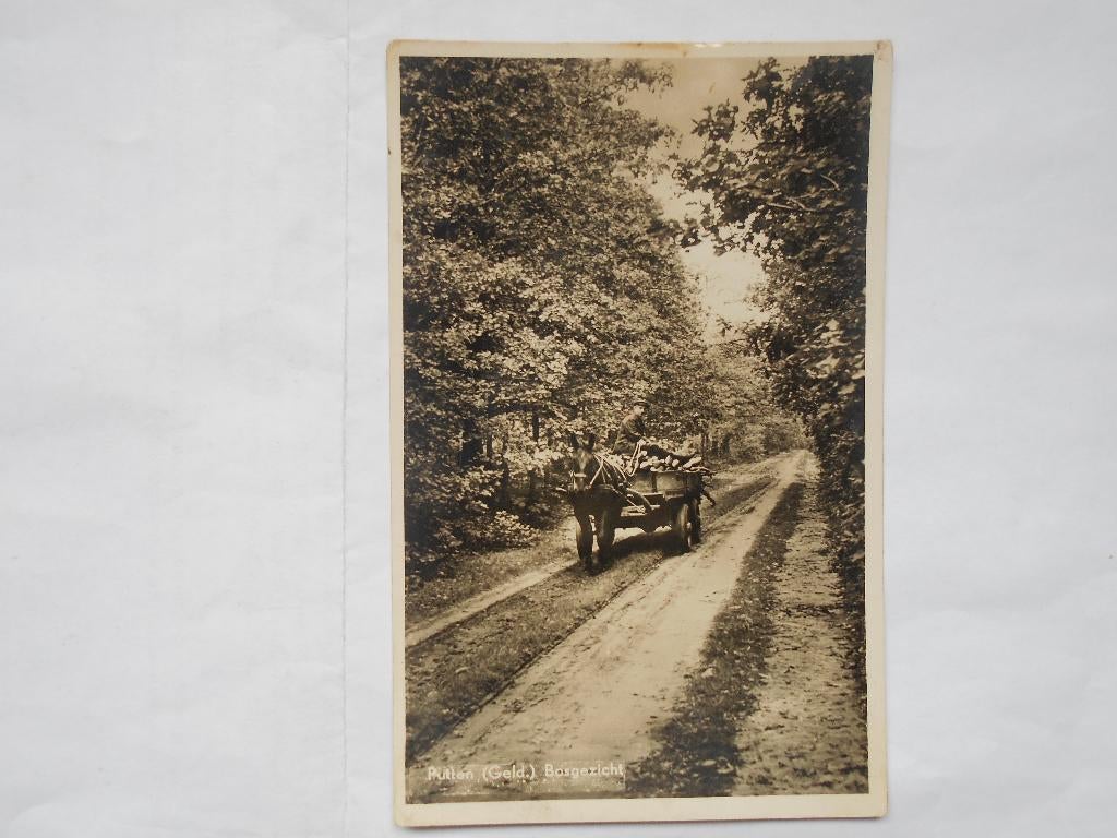 Putten Veluwe paardenwagen kar met hout Putten in het bos, Ophalen of Verzenden, 1940 tot 1960, Gelopen, Gelderland