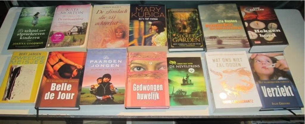 14 Prima Nederlandstalige Romans, Ophalen of Verzenden, Gelezen