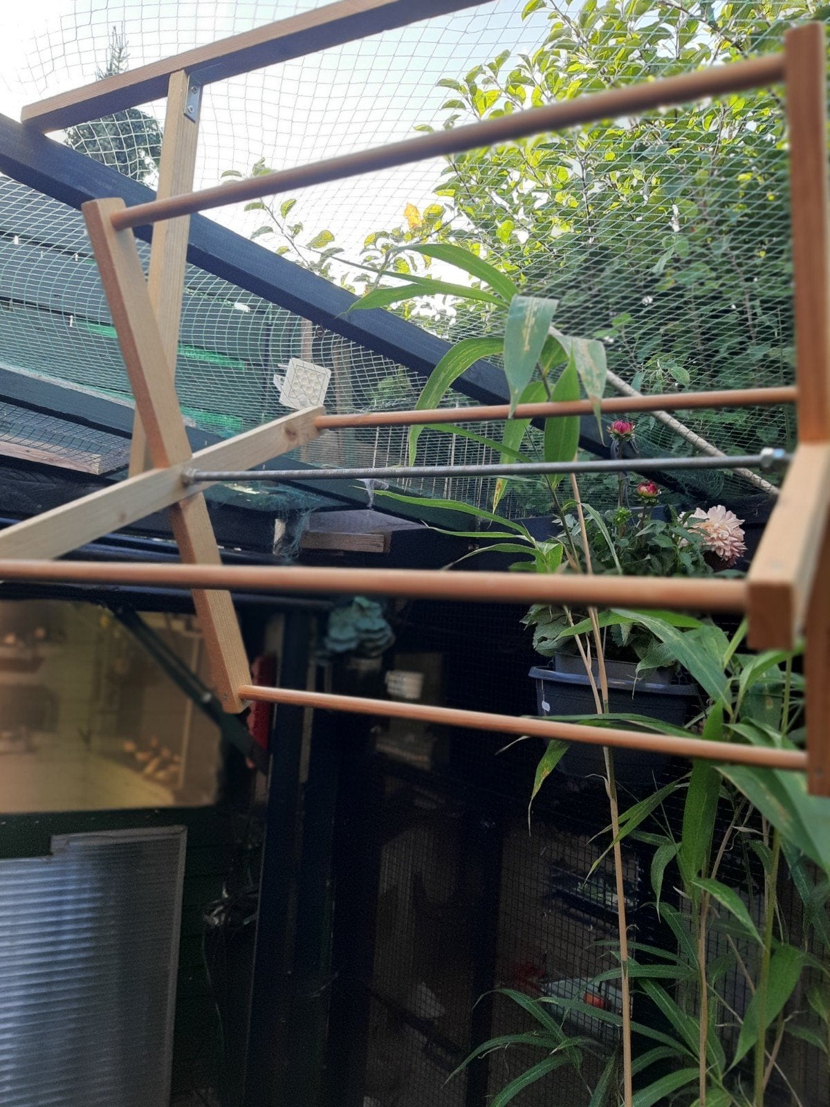 t.k. nieuwe houten draaimolen v. in de voliere top molen, Meerdere dieren, Kleurkanarie
