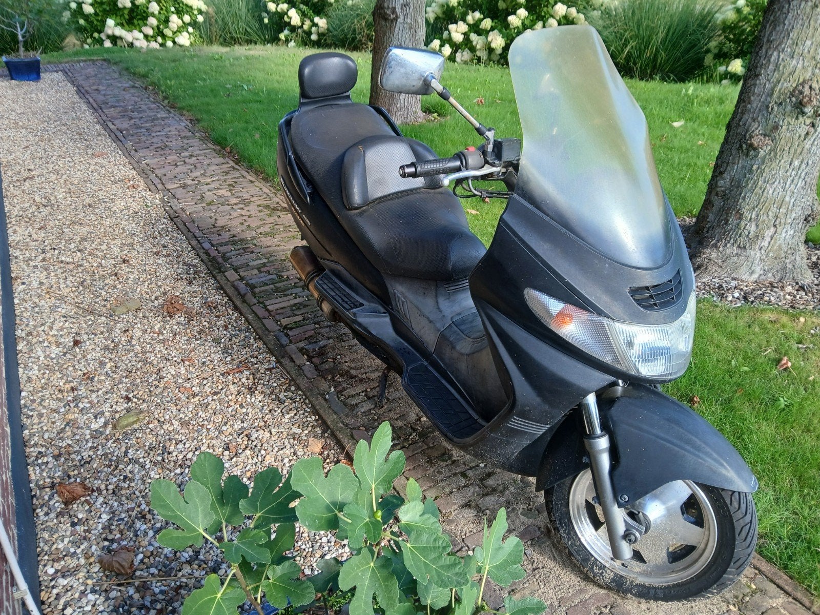 suzuki burgman, Ophalen, Gereviseerd