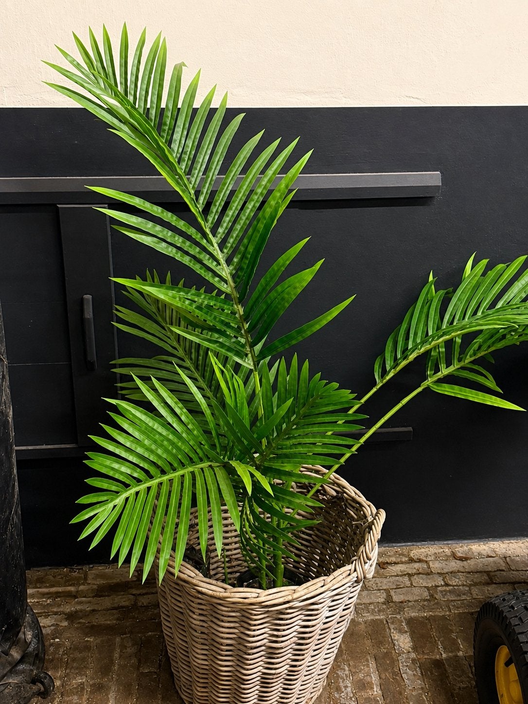 Kunst plant met mand, Groen, Kunstplant, 150 cm, Ophalen of Verzenden