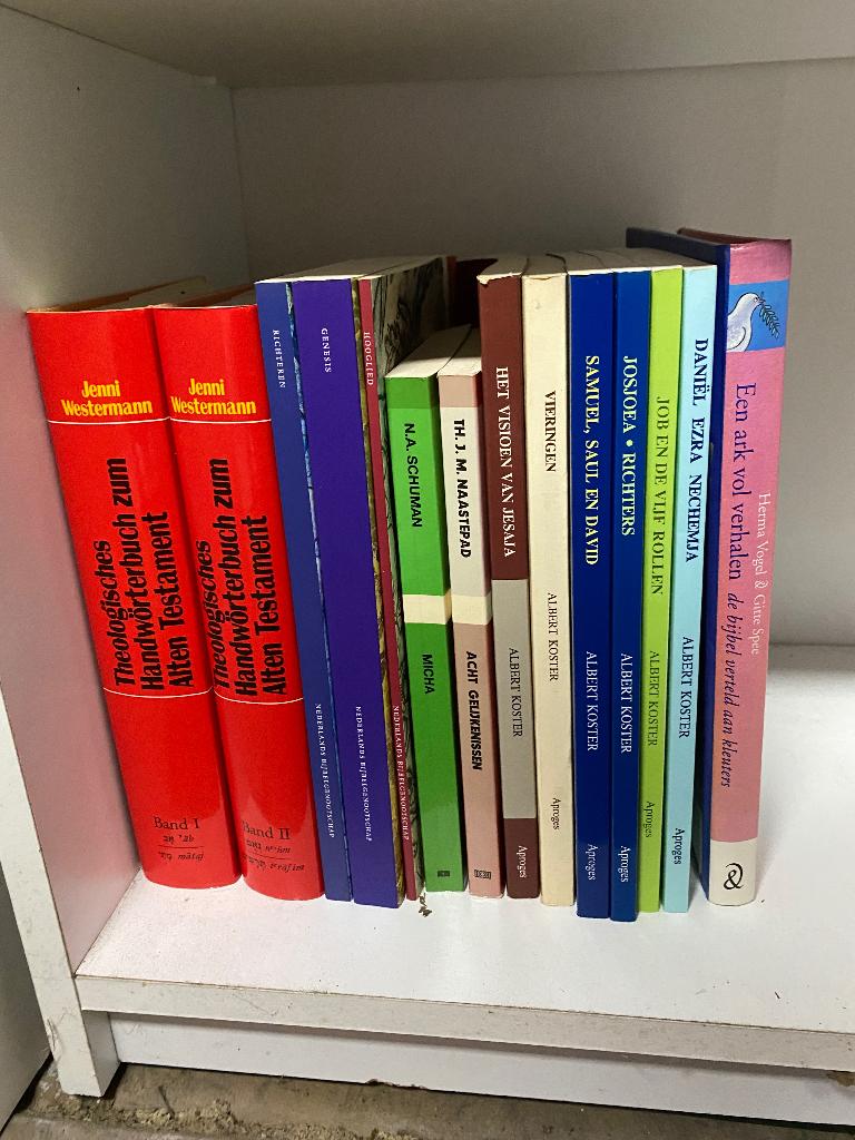 9) boeken van Th. JM Naastepad, Ophalen of Verzenden, Zo goed als nieuw, Jm Naastepad, Christendom | Katholiek