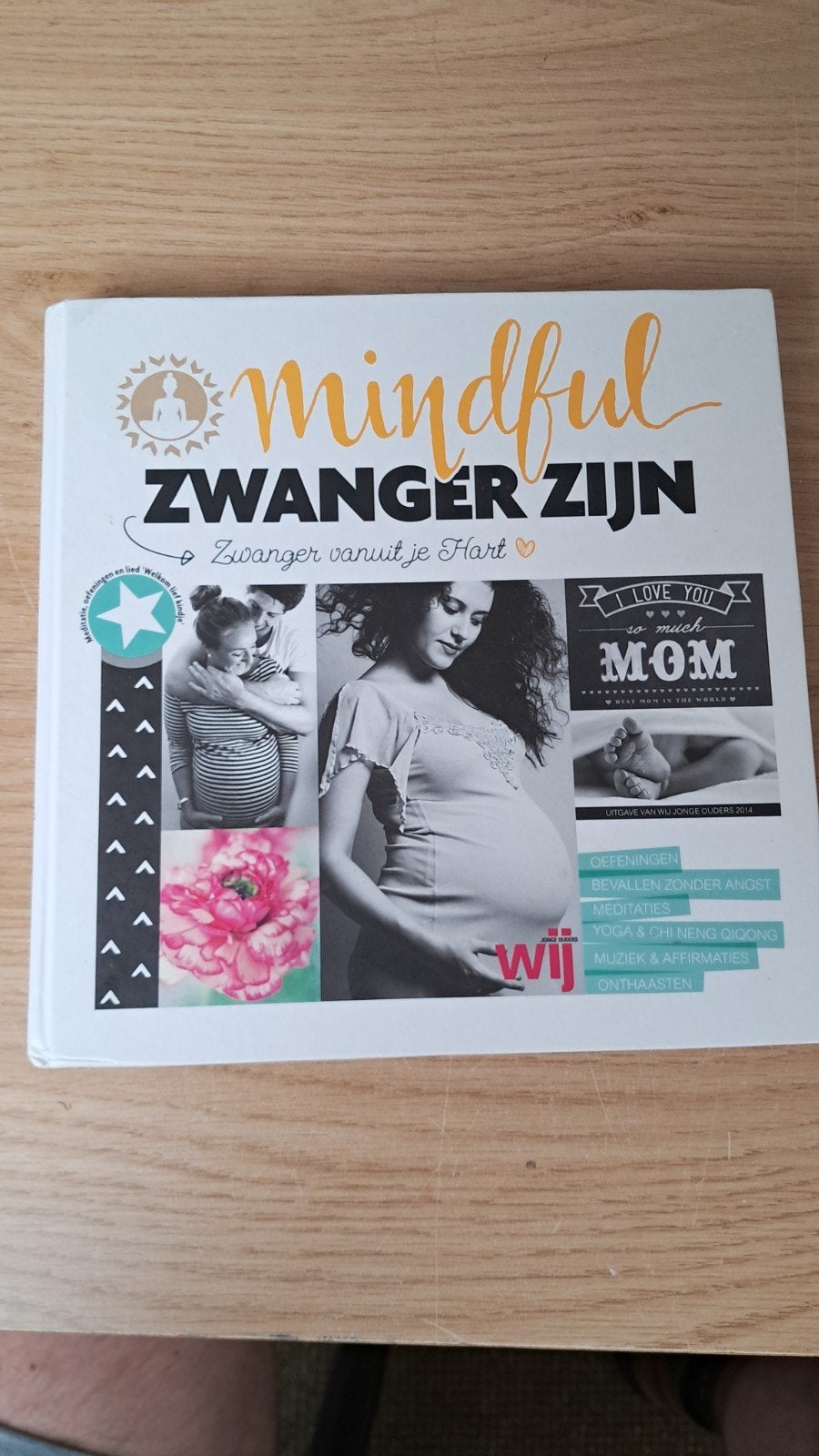 Anna van Amsterdam - Mindful zwanger zijn, Boeken, Zwangerschap en Bevalling, Zo goed als nieuw, Anna van Amsterdam; Yvon Tuinte-Zwanenburg