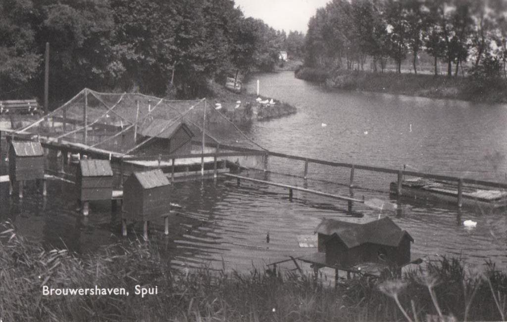 brouwershaven  spui   1978, Verzamelen, Ansichtkaarten | Nederland, Noord-Brabant, Voor 1920, Ophalen of Verzenden