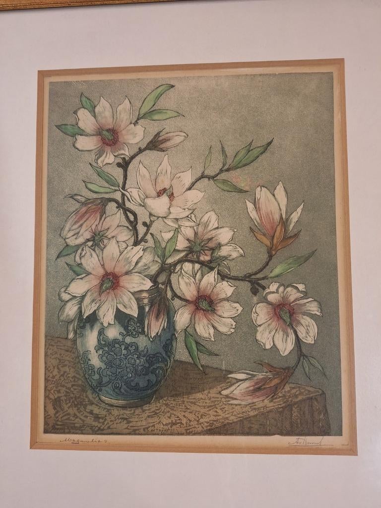 Kleurenets Magnolia van Antoon van Hemert, Ets, Ophalen of Verzenden, Flora en Fauna, Origineel