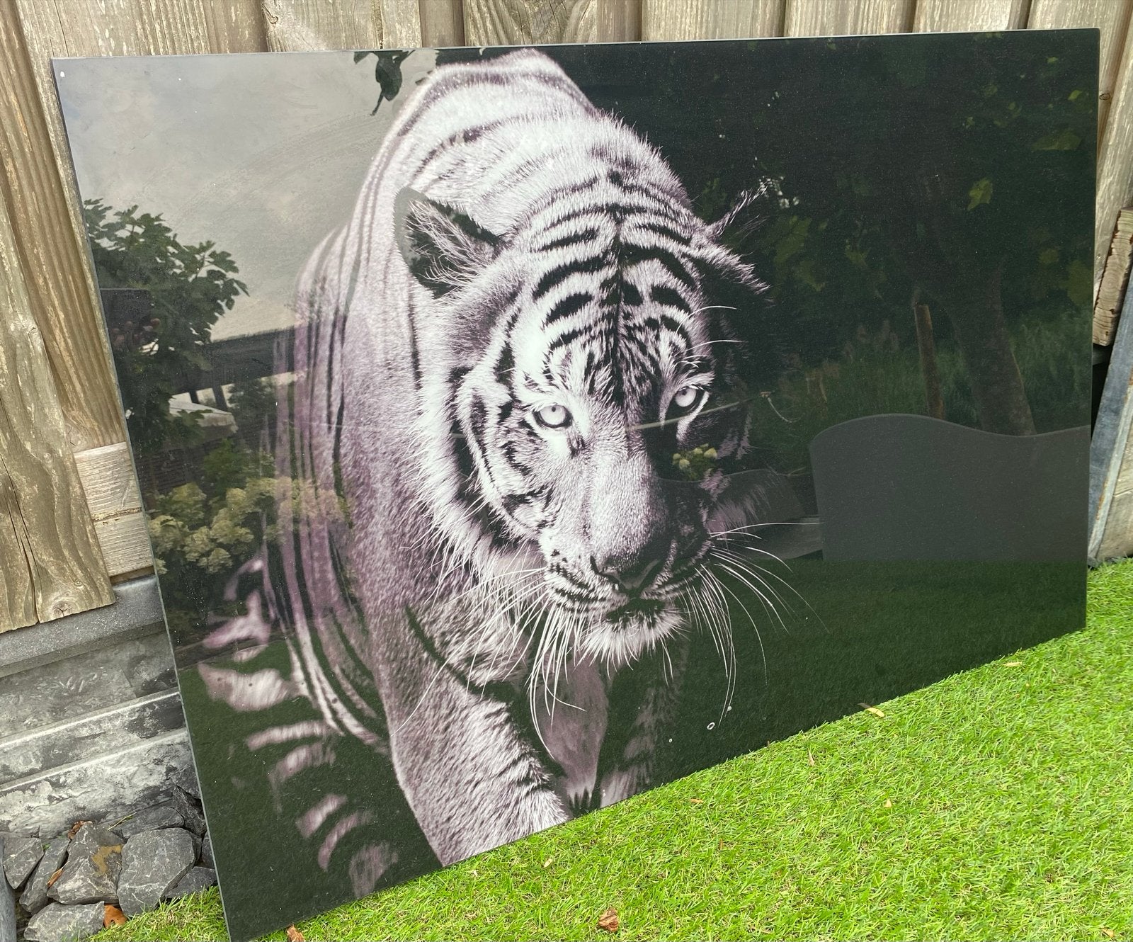 Zwart-wit tijger schilderij op glasplaat 120x80 cm, Antiek en Kunst, Ophalen, Glas, Dieren