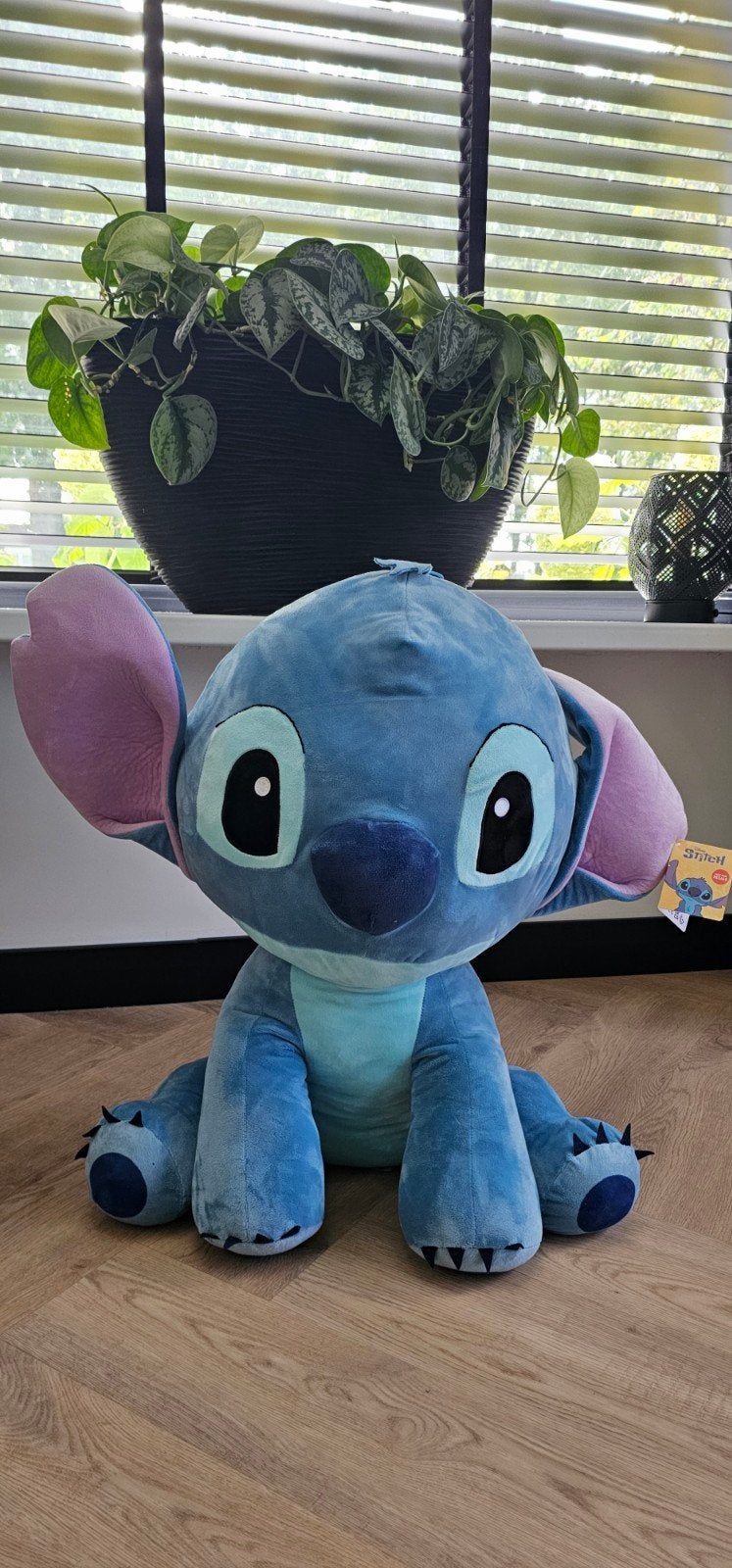 Grote nieuwe XL Stitch knuffel - 65 cm hoog, Ophalen, Disney, Disney, Overige typen